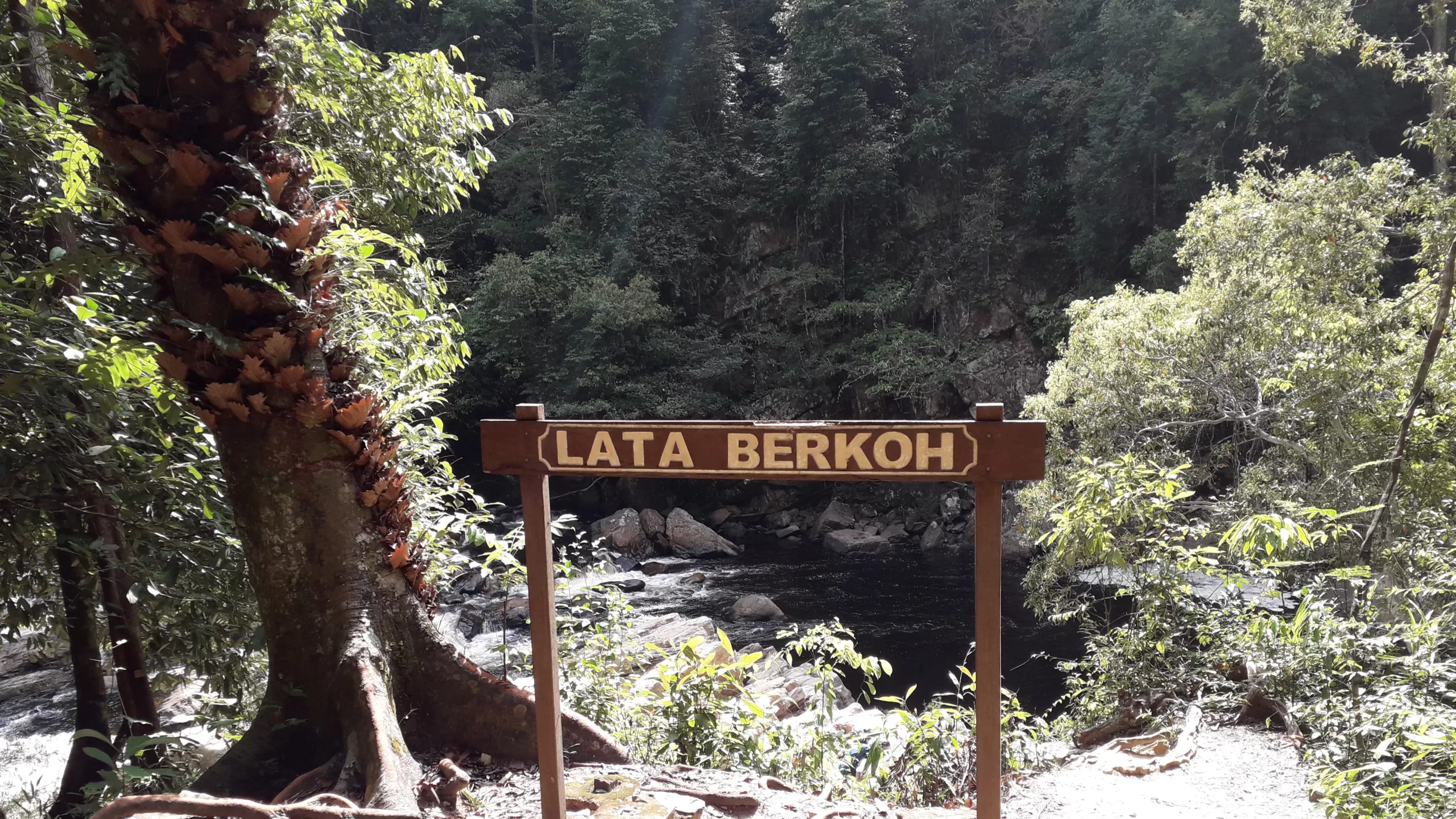 lata-berkoh