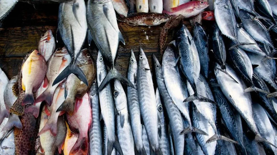 fresh-seafood